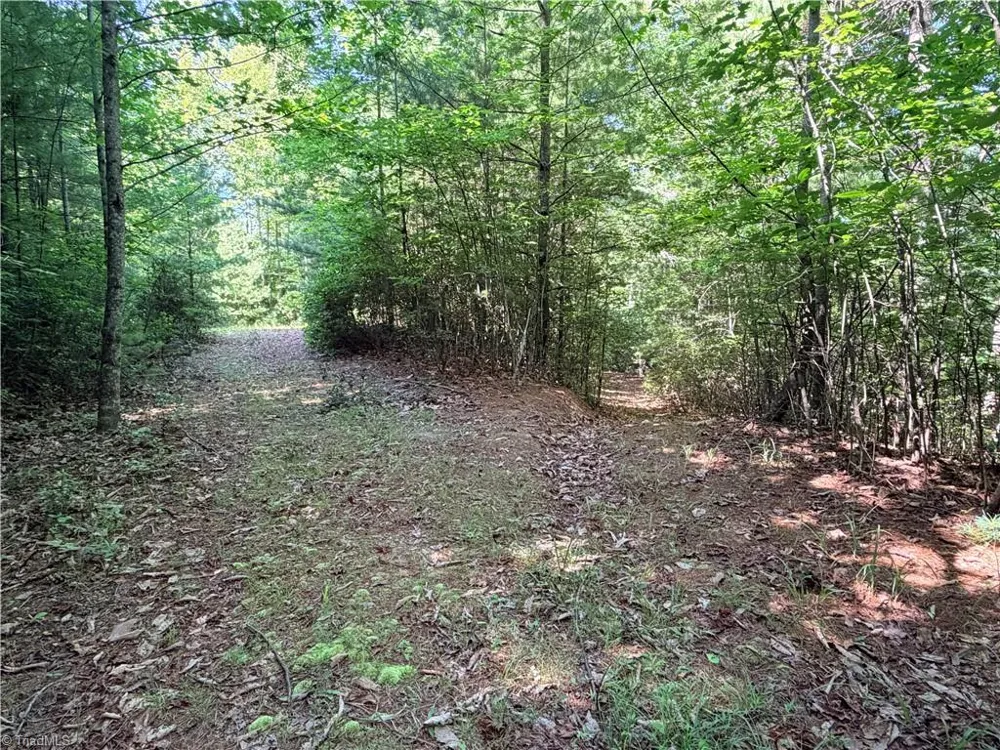 Lots 171 & 172B Blue Rock Road Purlear, NC 28665