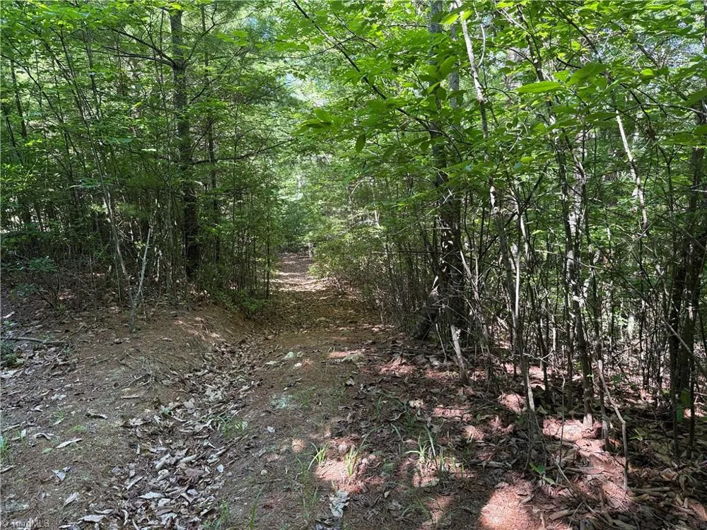 Lots 171 & 172B Blue Rock Road Purlear, NC 28665