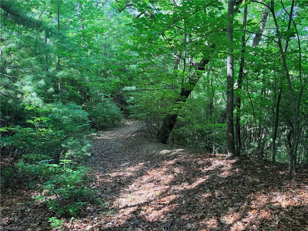 Lots 171 & 172B Blue Rock Road Purlear, NC 28665
