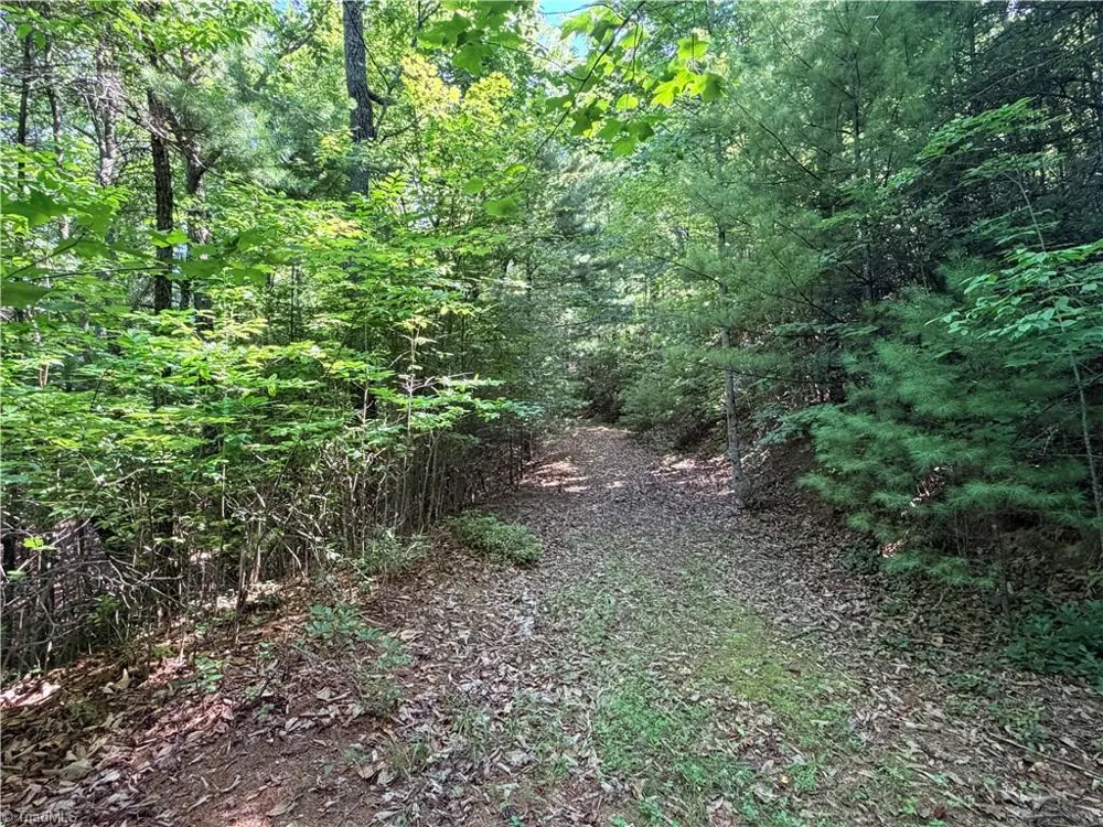 Lots 171 & 172B Blue Rock Road Purlear, NC 28665