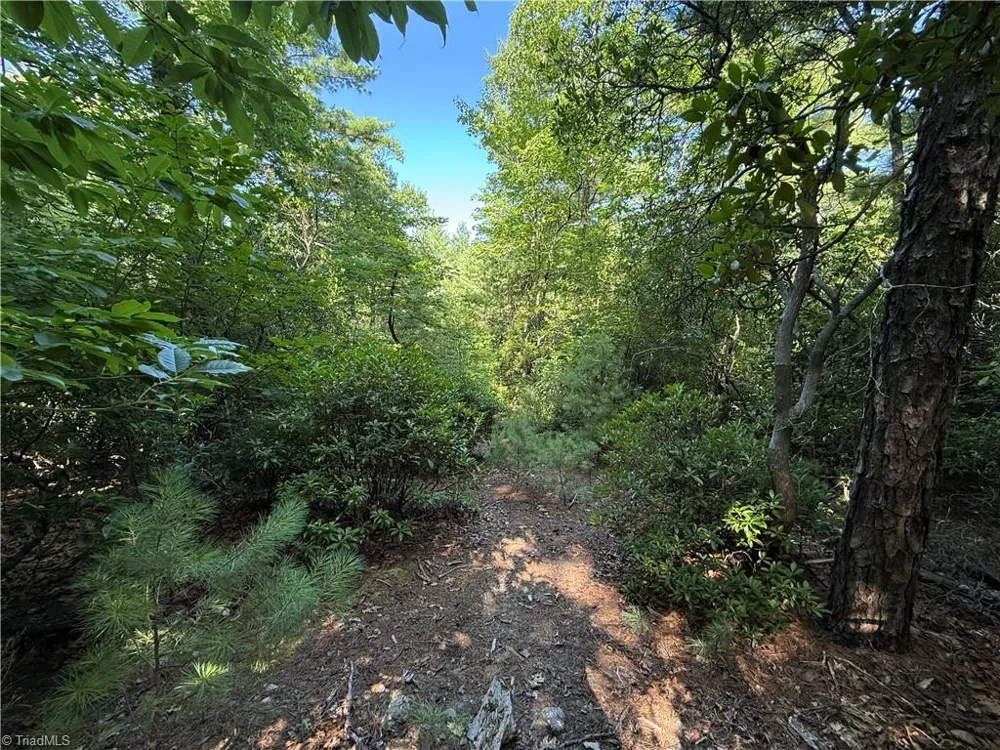 Lots 171 & 172B Blue Rock Road Purlear, NC 28665