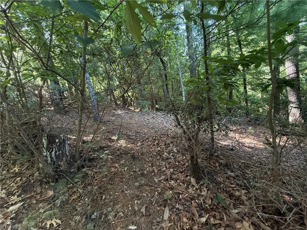 Lots 171 & 172B Blue Rock Road Purlear, NC 28665