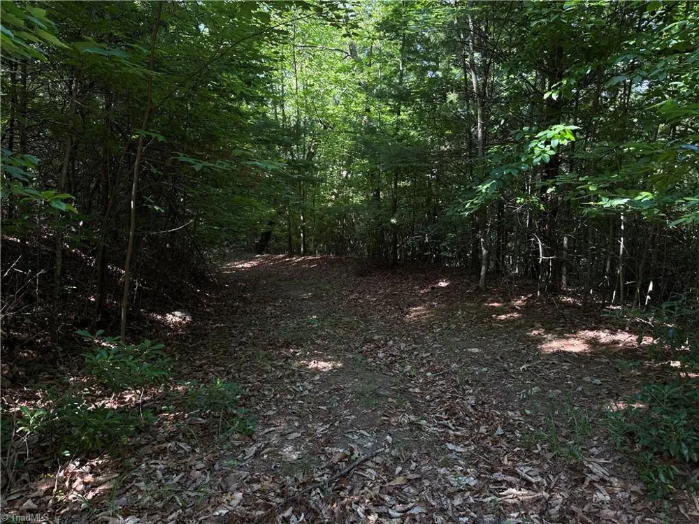 Lots 171 & 172B Blue Rock Road Purlear, NC 28665