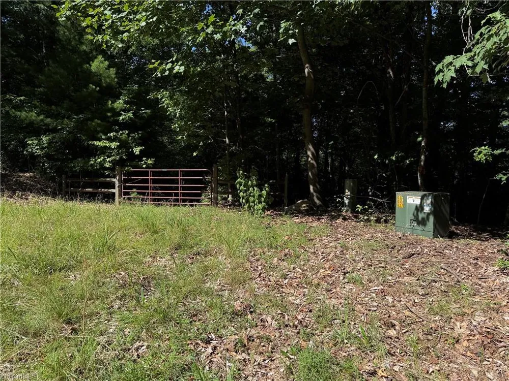 Lots 171 & 172B Blue Rock Road Purlear, NC 28665