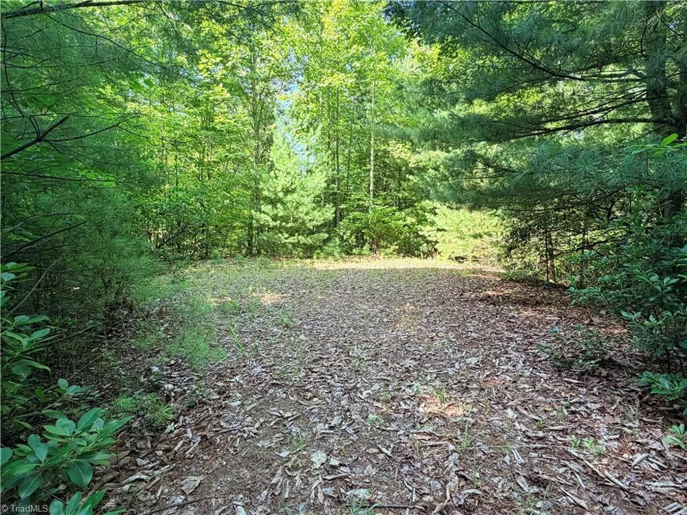 Lots 171 & 172B Blue Rock Road Purlear, NC 28665