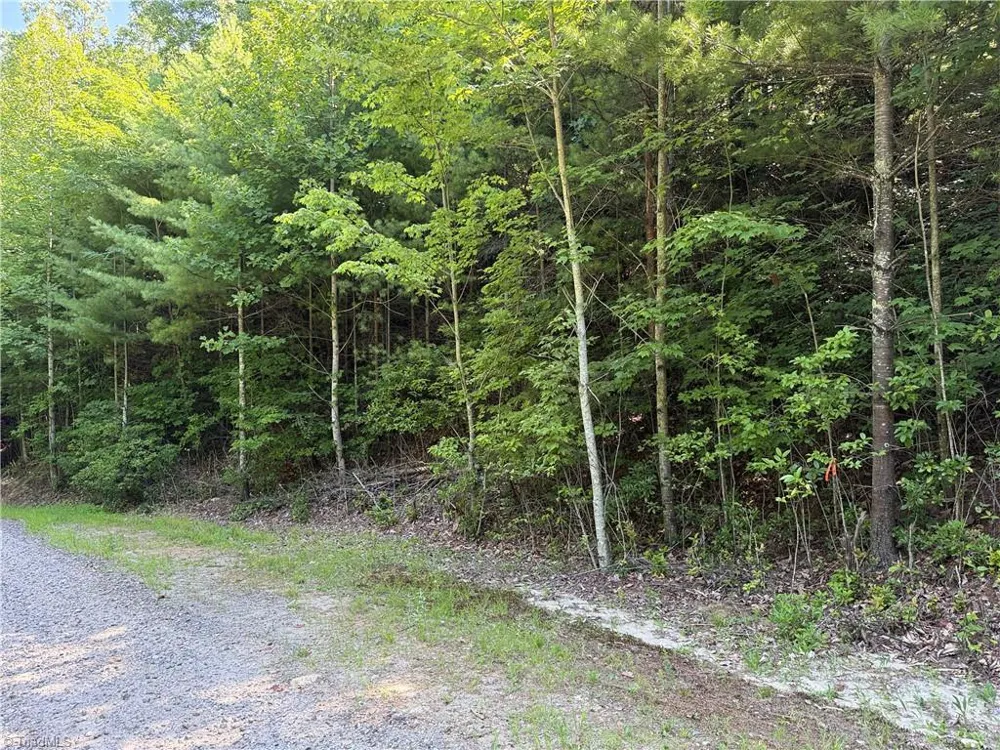Lots 171 & 172B Blue Rock Road Purlear, NC 28665