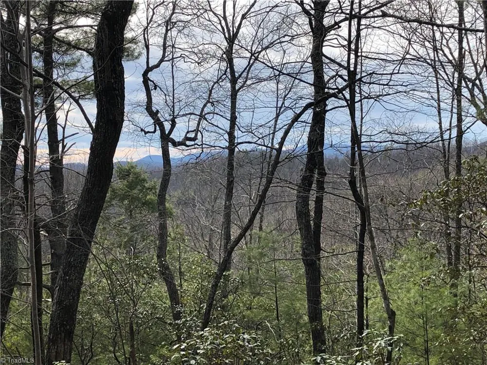 Lots 171 & 172B Blue Rock Road Purlear, NC 28665