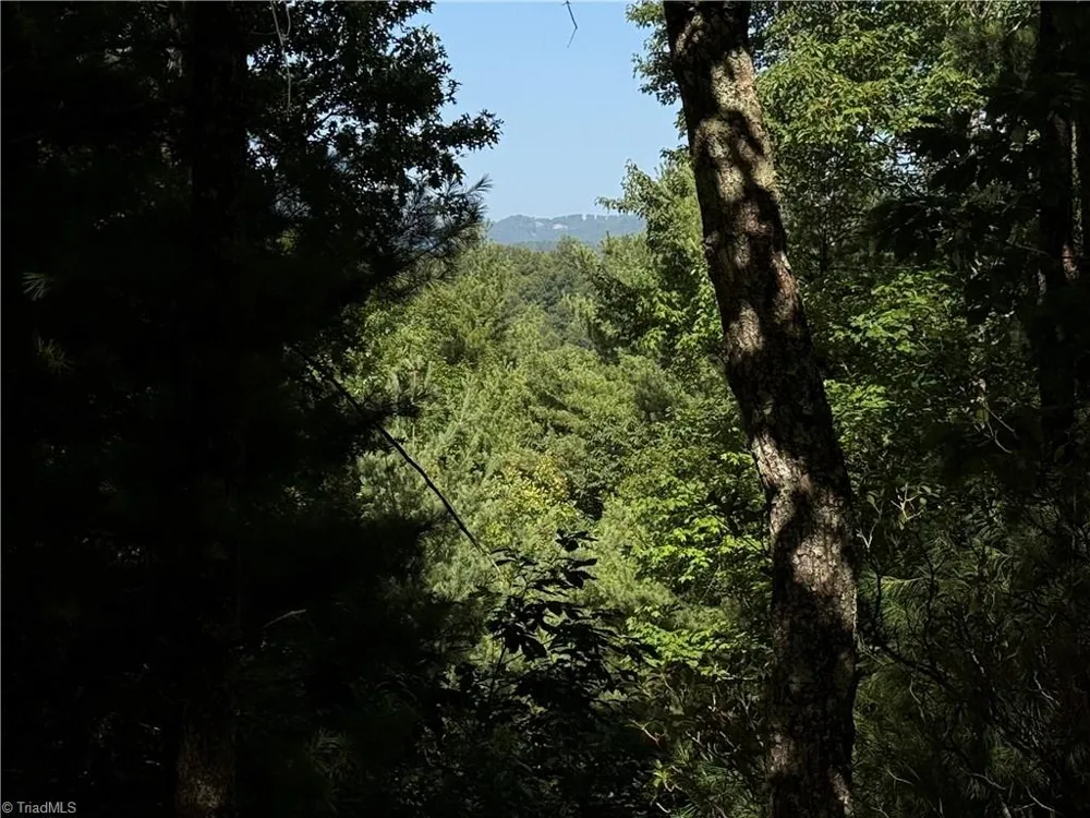 Lots 171 & 172B Blue Rock Road Purlear, NC 28665