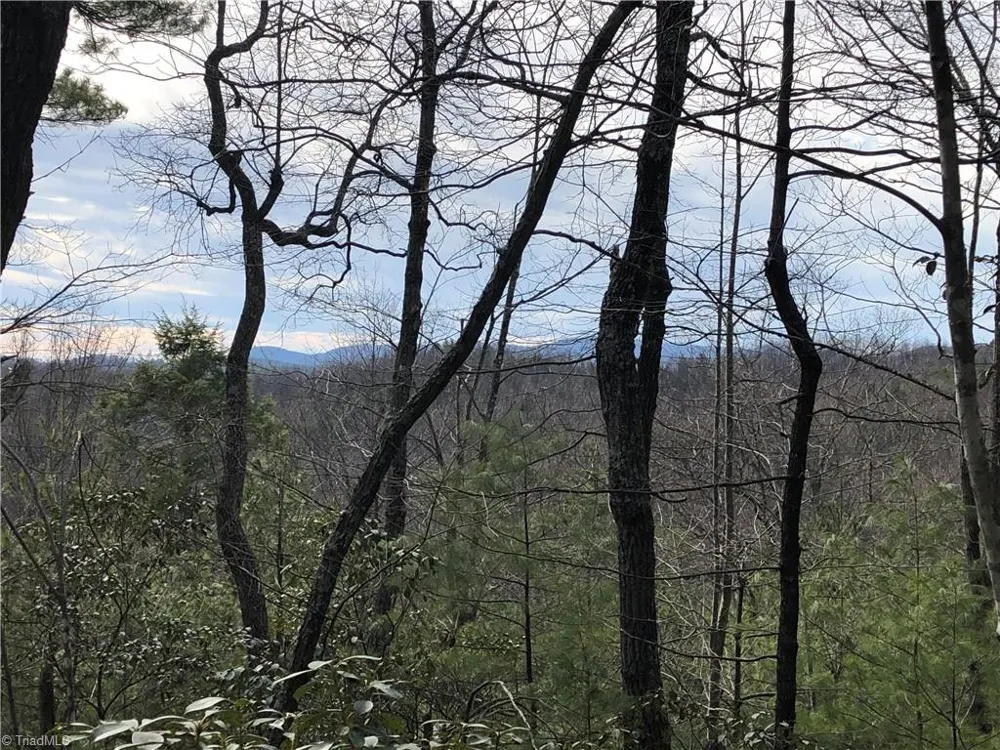 Lots 171 & 172B Blue Rock Road Purlear, NC 28665