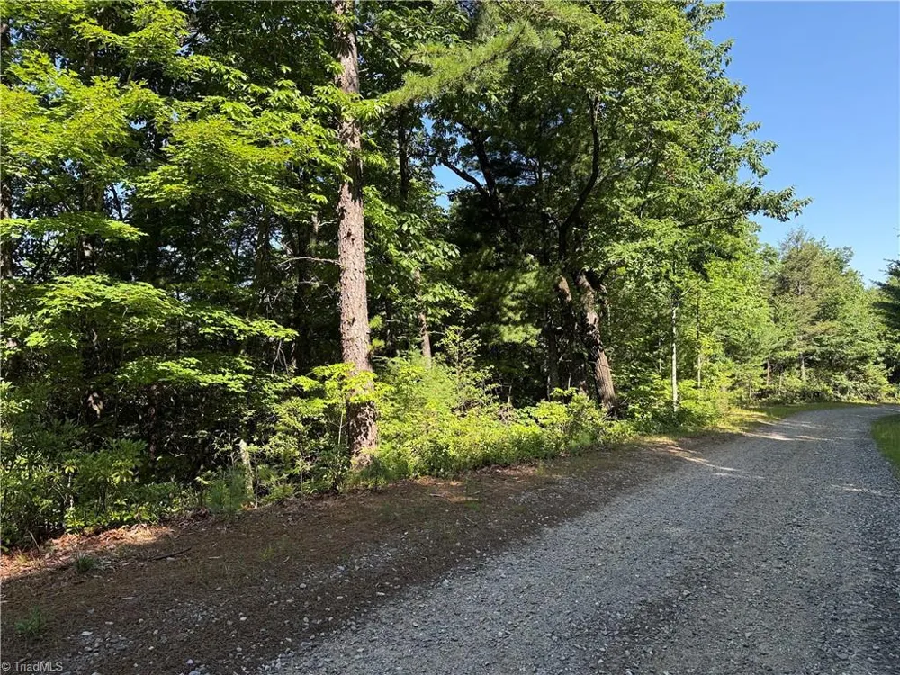 Lots 171 & 172B Blue Rock Road Purlear, NC 28665