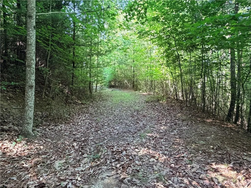 Lots 171 & 172B Blue Rock Road Purlear, NC 28665