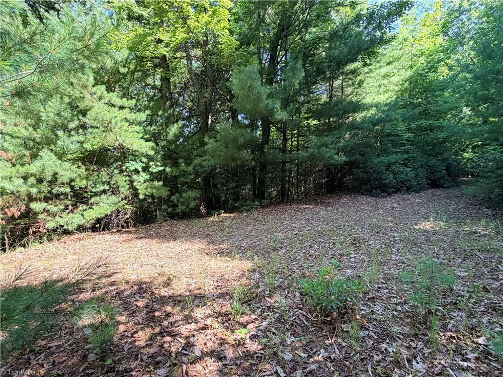 Lots 171 & 172B Blue Rock Road Purlear, NC 28665