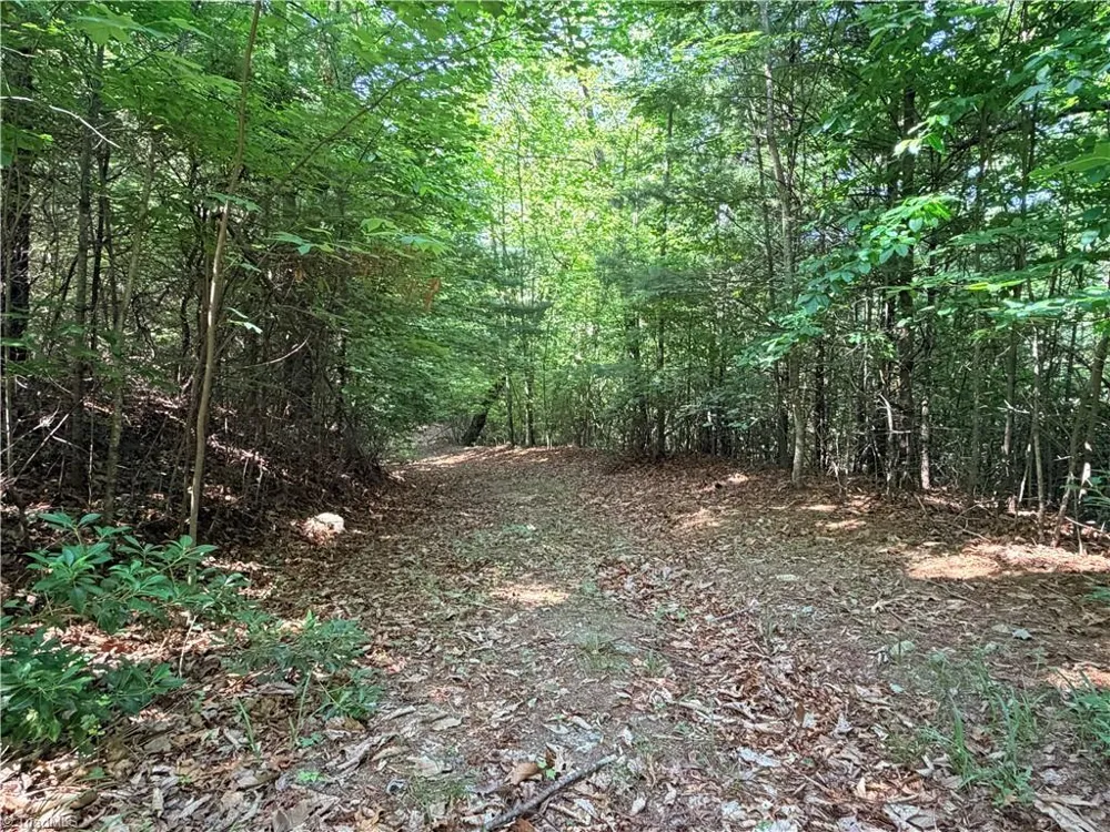 Lots 171 & 172B Blue Rock Road Purlear, NC 28665
