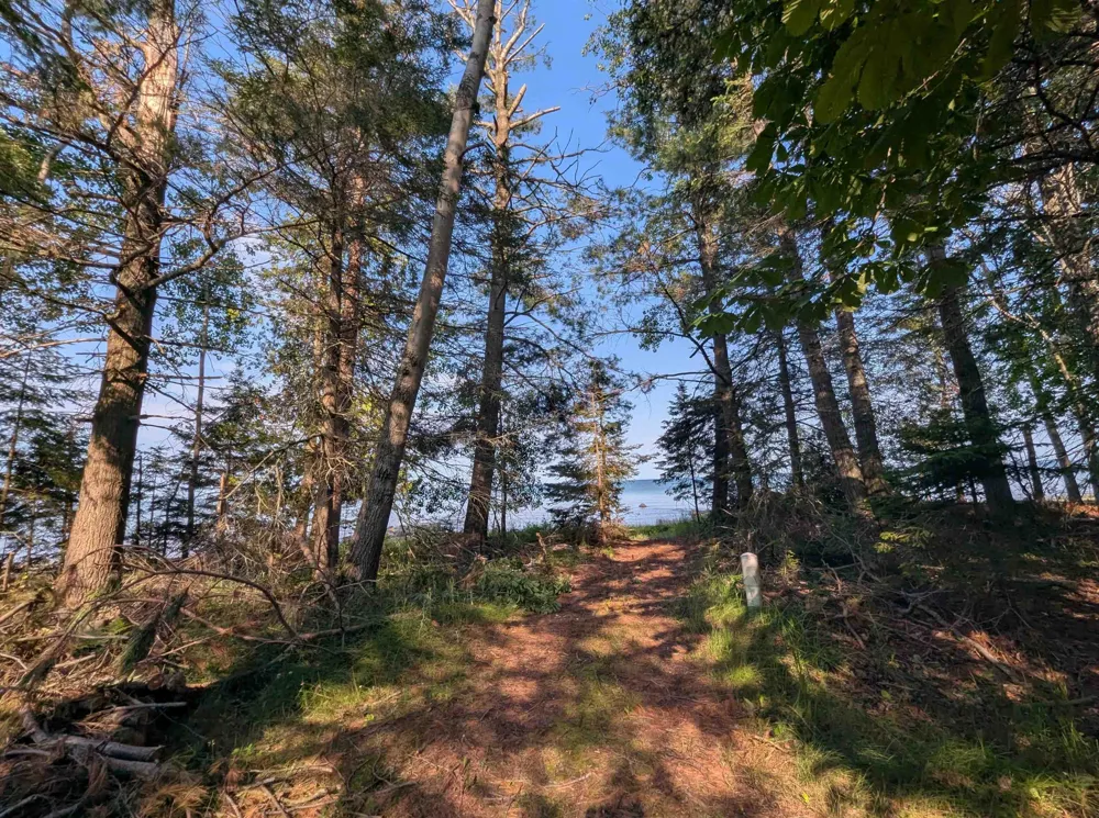 Lake Shore Drive Alcona Township, MI 48721