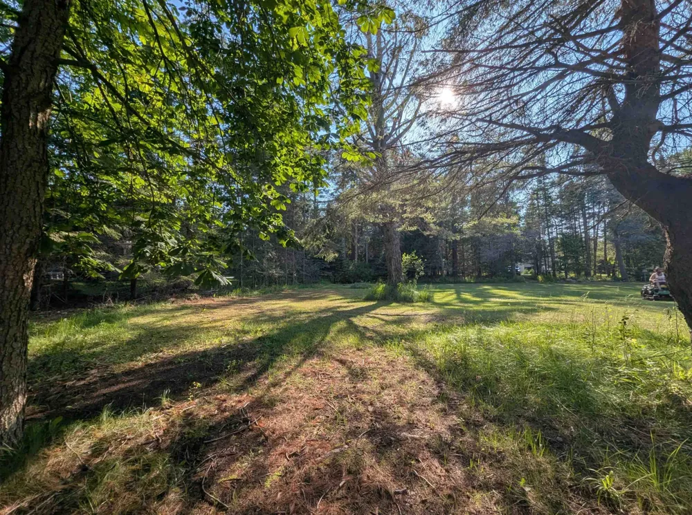 Lake Shore Drive Alcona Township, MI 48721