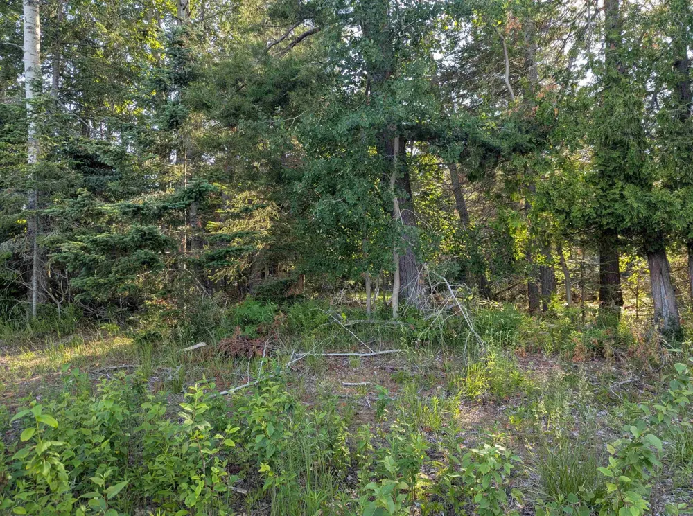 Lake Shore Drive Alcona Township, MI 48721
