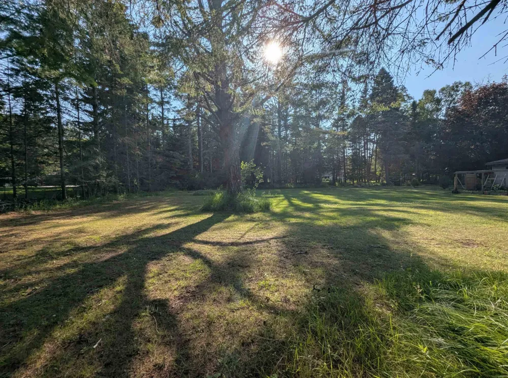 Lake Shore Drive Alcona Township, MI 48721