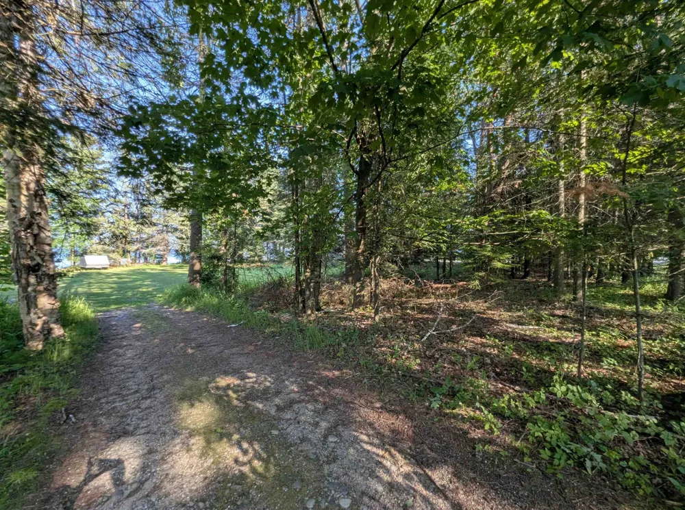 Lake Shore Drive Alcona Township, MI 48721