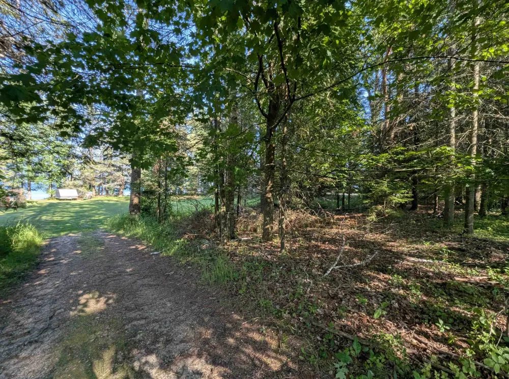 Lake Shore Drive Alcona Township, MI 48721