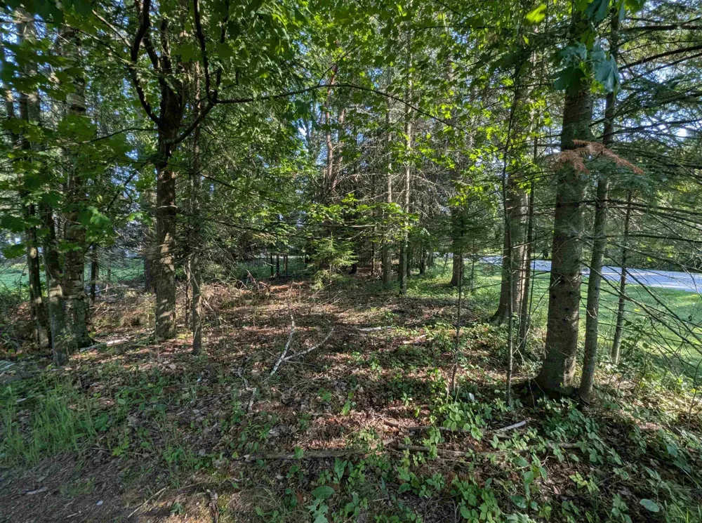 Lake Shore Drive Alcona Township, MI 48721