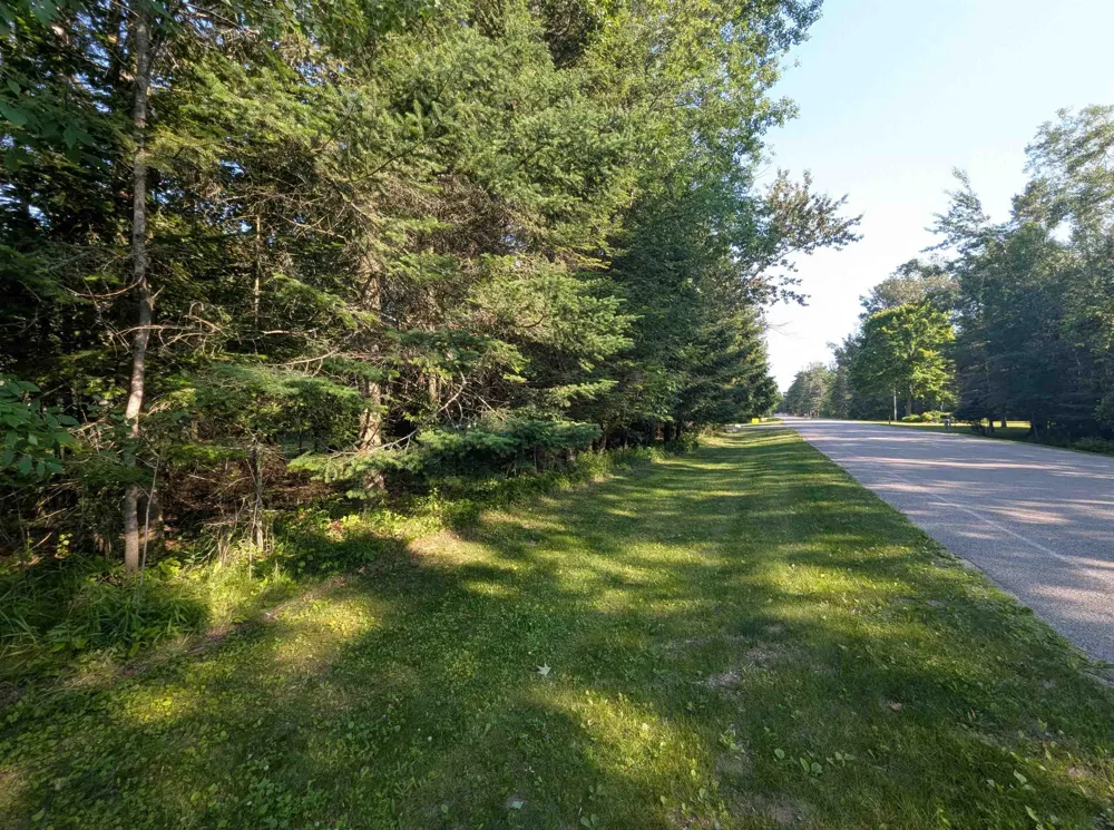 Lake Shore Drive Alcona Township, MI 48721