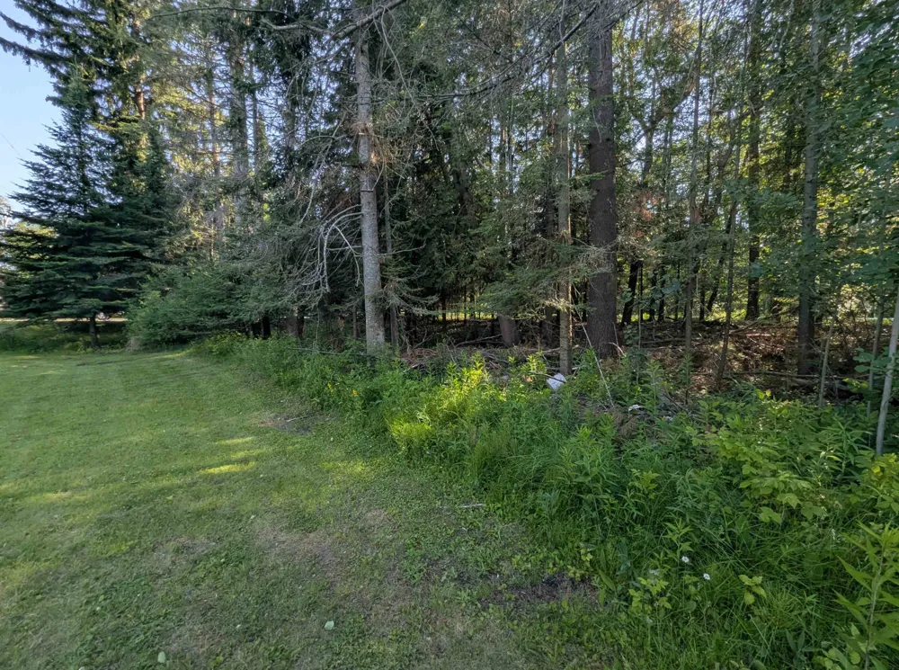 Lake Shore Drive Alcona Township, MI 48721