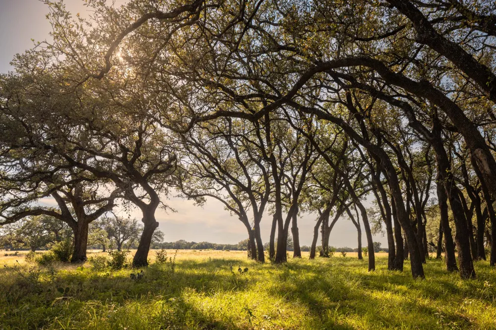 795 Gibson Road Johnson City, TX 78636