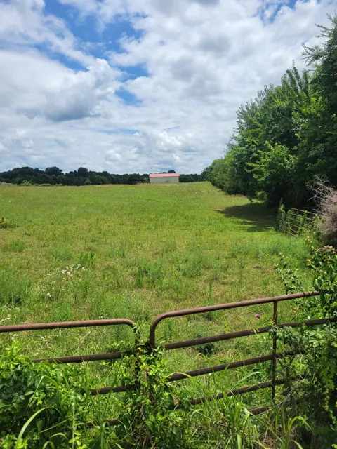 0 Midland Fosterville