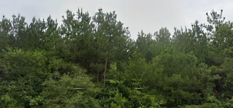 BULLARD ROAD