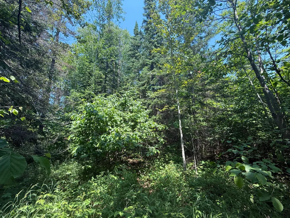 TBD Scenic Dr. Two Harbors, MN 55616