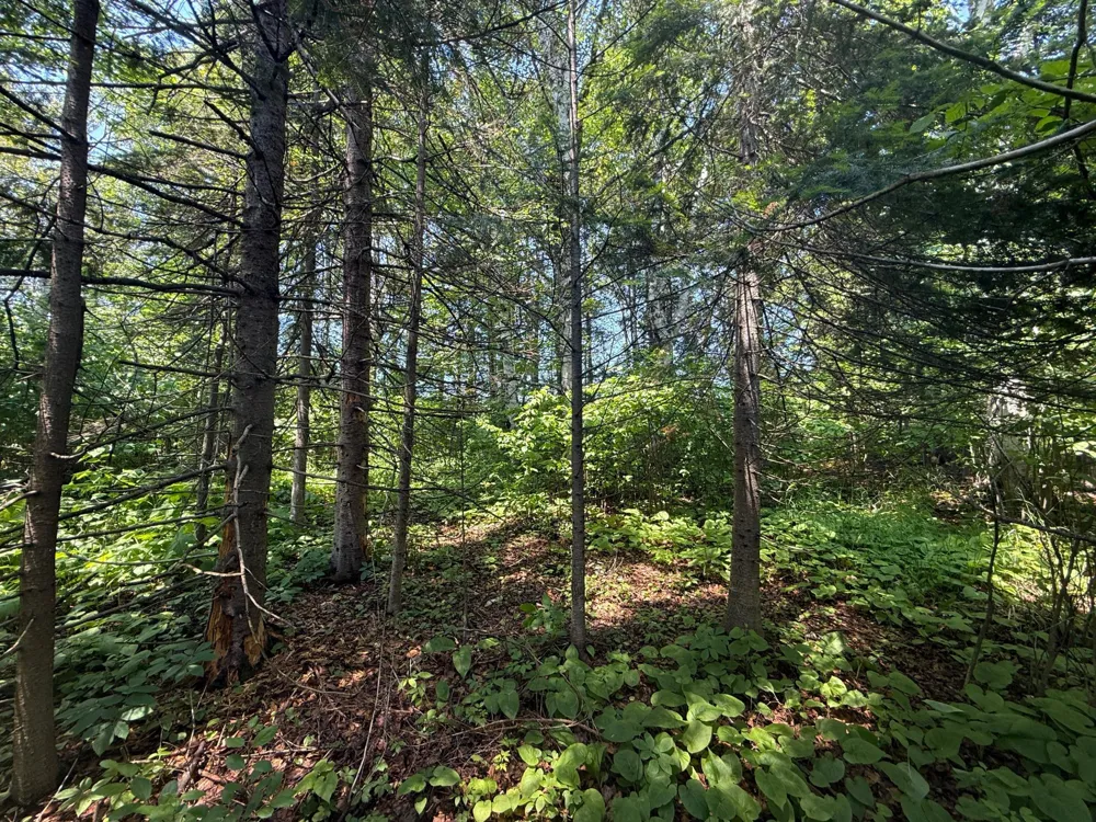 TBD Scenic Dr. Two Harbors, MN 55616