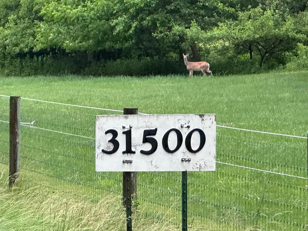 31500 Echo Valley Trail Cannon Falls, MN 55009