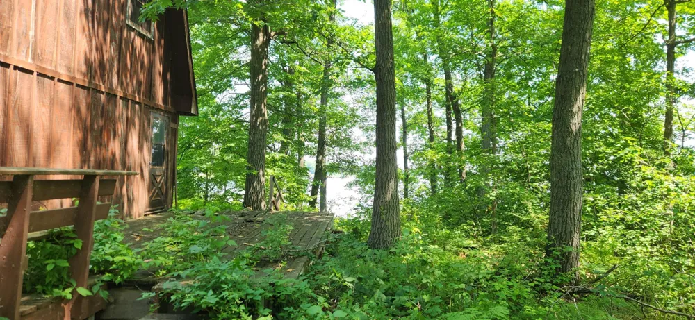 8565 Bear Island Landing NW Walker, MN 56484