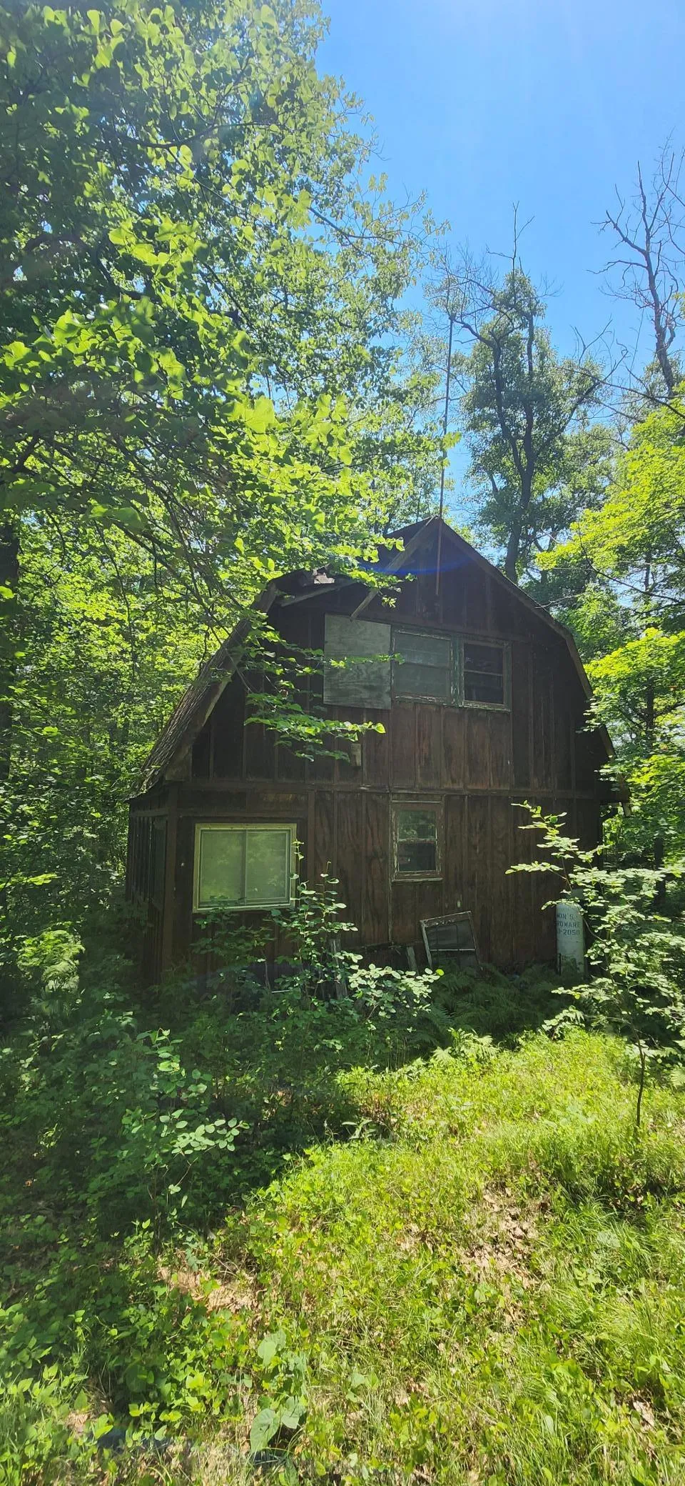 8565 Bear Island Landing NW Walker, MN 56484