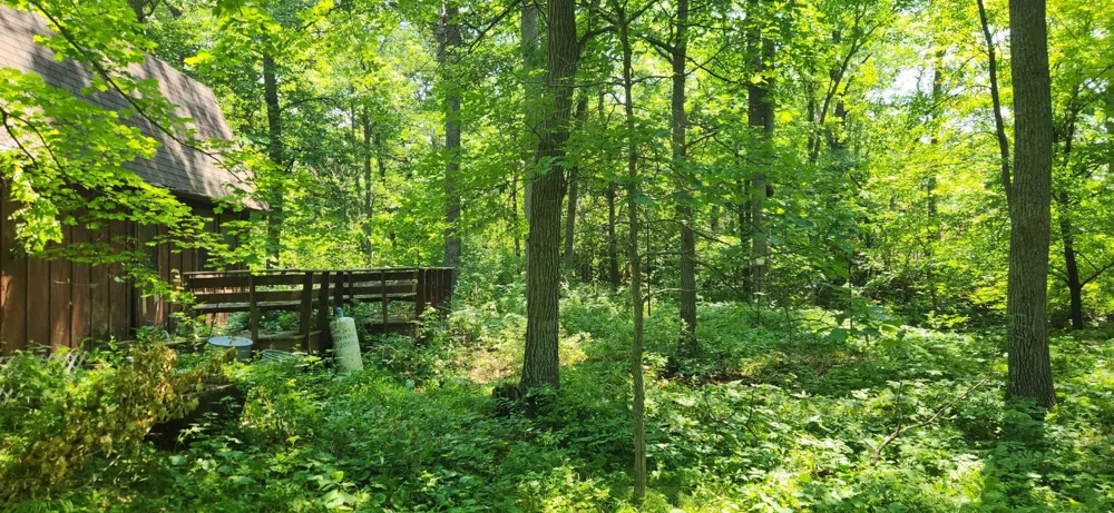 8565 Bear Island Landing NW Walker, MN 56484