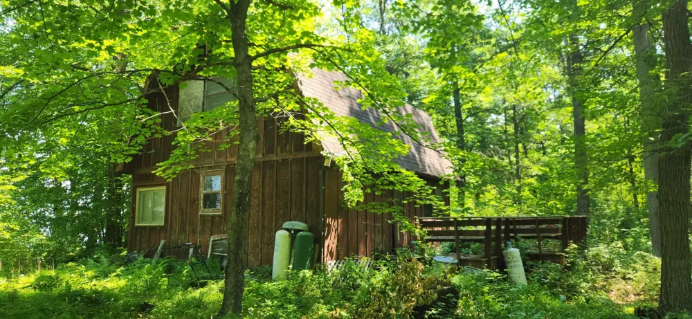 8565 Bear Island Landing NW Walker, MN 56484