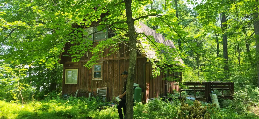 8565 Bear Island Landing NW Walker, MN 56484