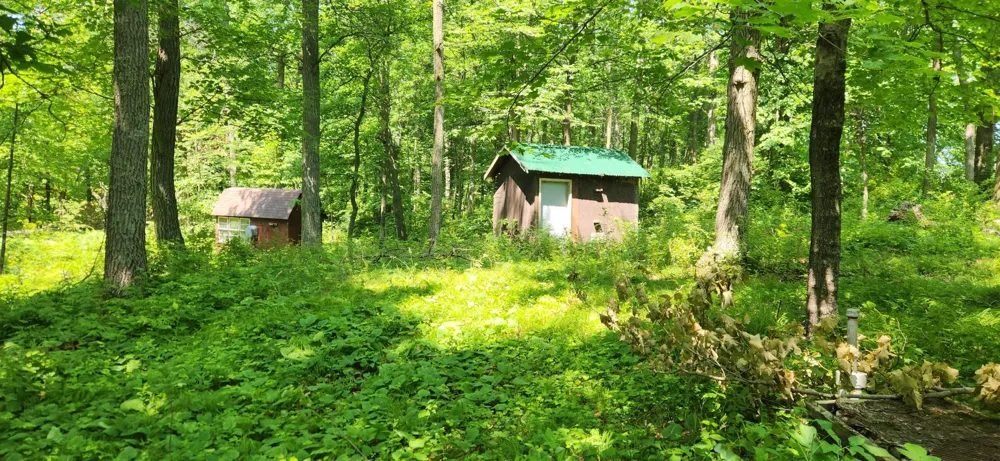 8565 Bear Island Landing NW Walker, MN 56484