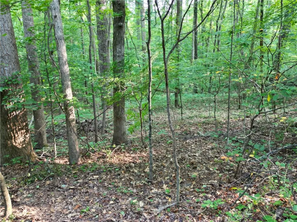 0 Glenell Drive Woodstock, GA 30189
