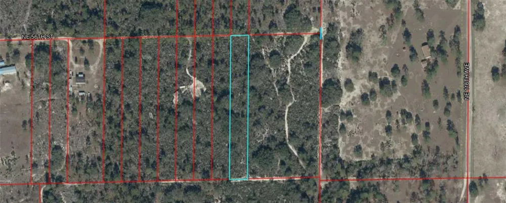 Lot 00 NE 56TH ST Bronson, FL 32621