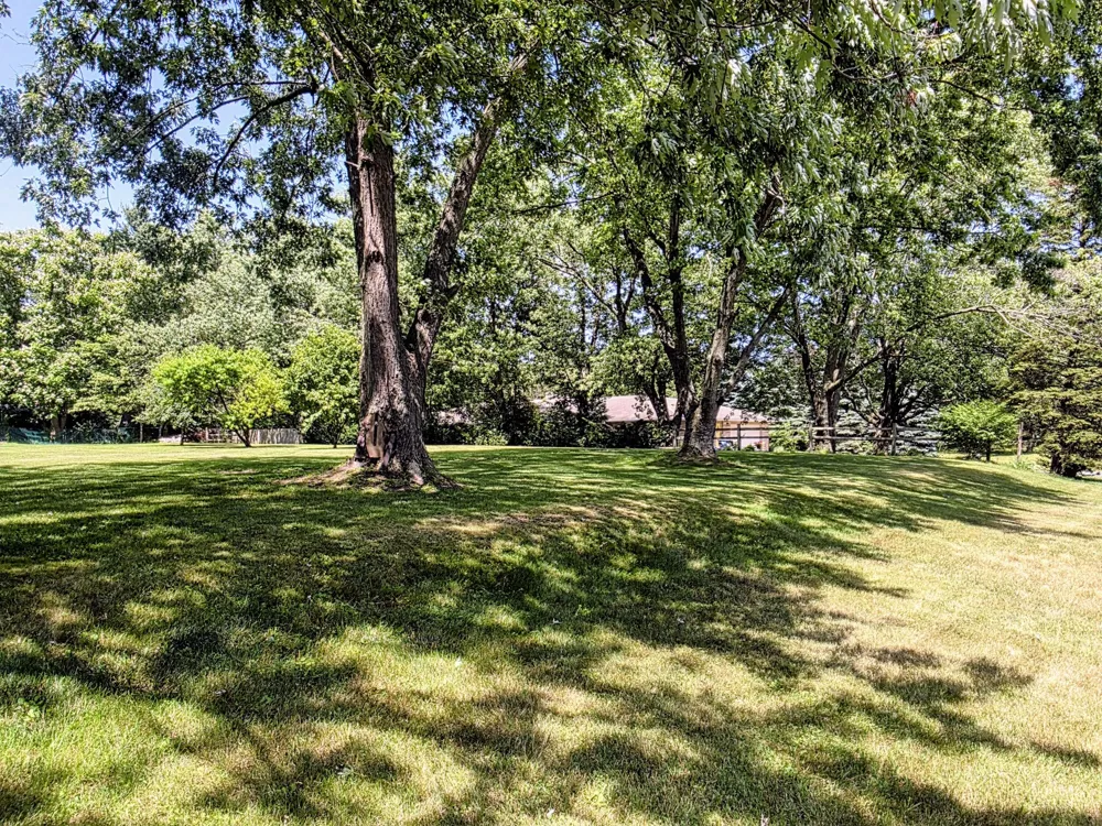6421 Plainfield Avenue Kalamazoo, MI 49048