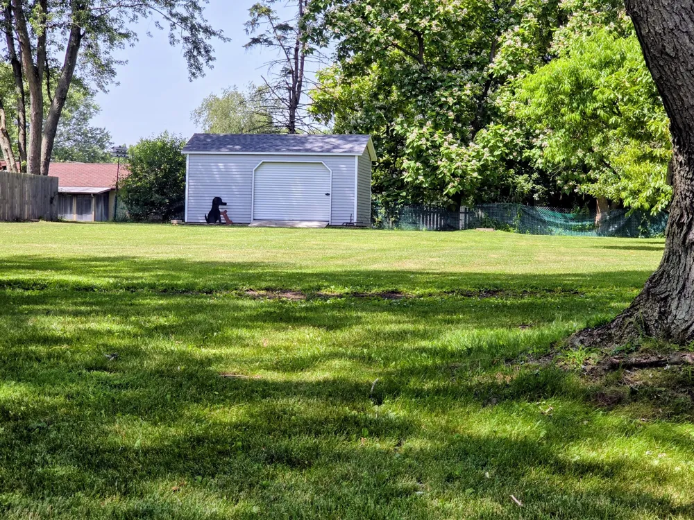 6421 Plainfield Avenue Kalamazoo, MI 49048