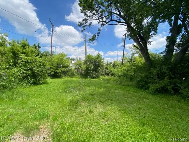 58250 Main Street New Haven Village, MI 48048