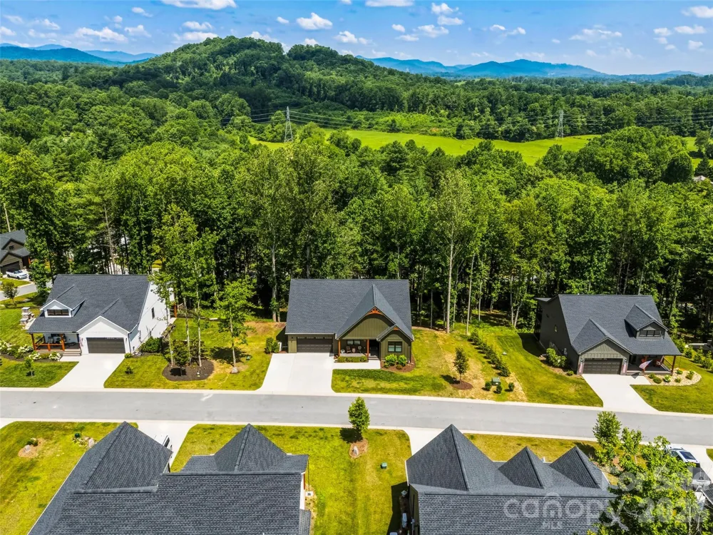 181 Byron Forest Drive Horse Shoe, NC 28742