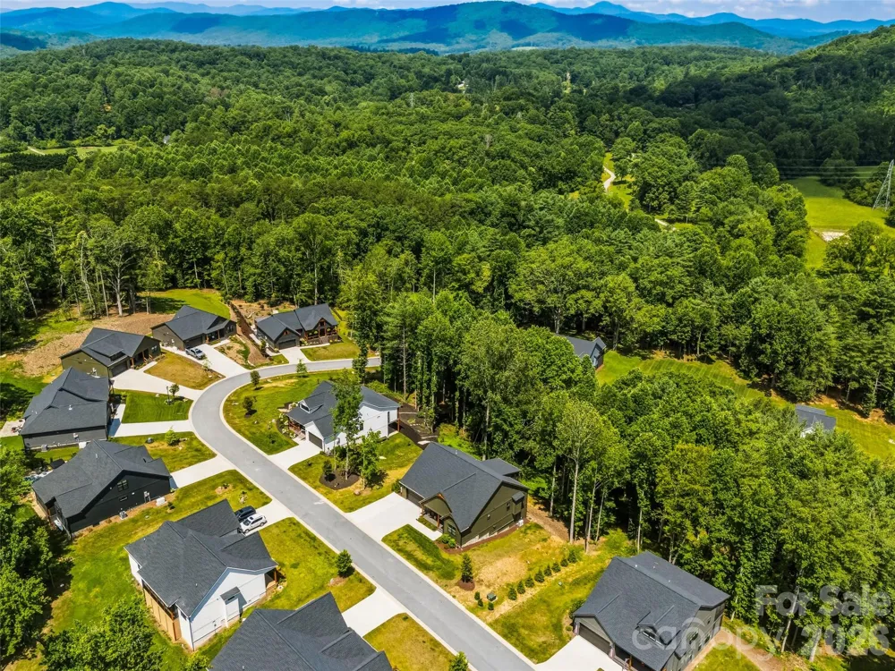 181 Byron Forest Drive Horse Shoe, NC 28742