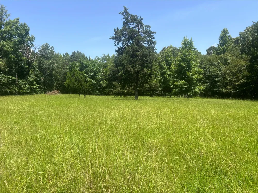 CR 44400 Powderly, TX 75473