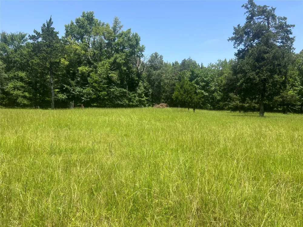 CR 44400 Powderly, TX 75473