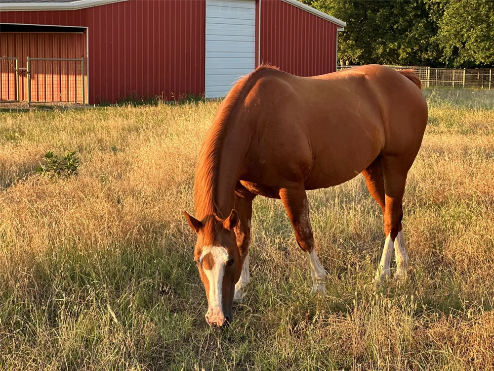 510 County Road 247 Valley View, TX 76272