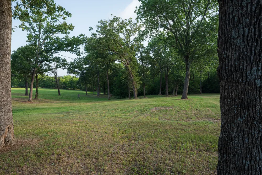 10457 State Highway 110 Van, TX 75790