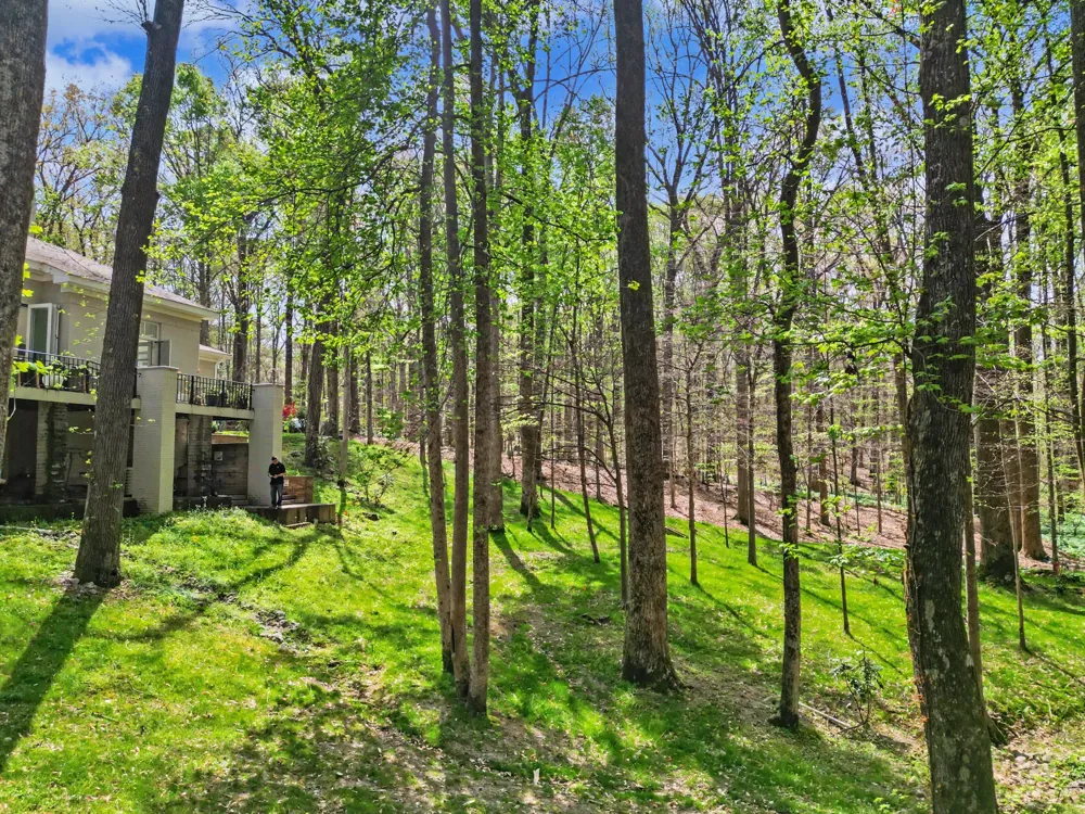 9 Windwood Dr Jackson, TN 38305